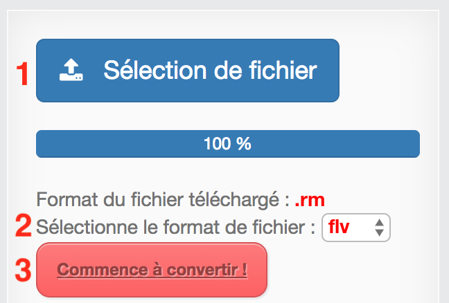 Comment convertir RM en FLV en ligne